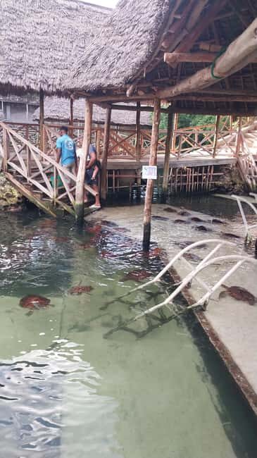 Zanzibar: The Lagoon Aquarium and Sunset dhow cruise - Final Thoughts
