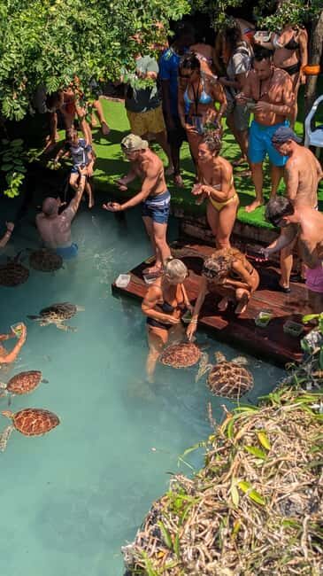 Zanzibar: The Rock Restaurant and Salaam Cave - The Value of This Tour