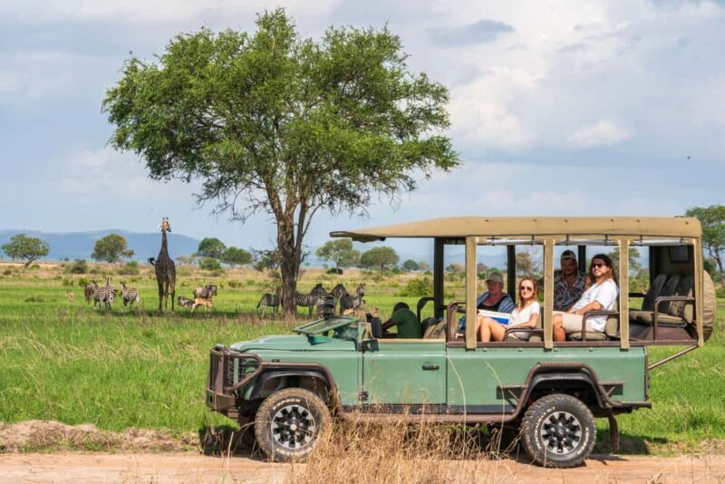 Zanzibar to Mikumi Ultimate Day Trip Safari Adventure - Zanzibar to Mikumi Ultimate Day Trip Safari Adventure: A Complete Review