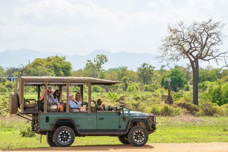 Zanzibar to Mikumi Ultimate Day Trip Safari Adventure - Key Points
