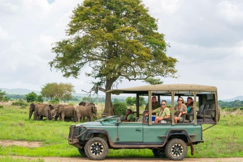 Zanzibar to Mikumi Ultimate Day Trip Safari Adventure - Transport and Logistics: Why It Matters
