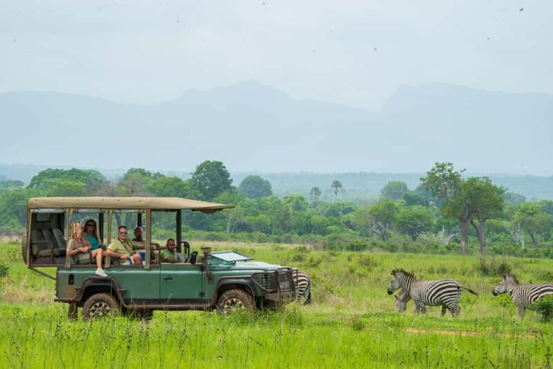 Zanzibar to Mikumi Ultimate Day Trip Safari Adventure - What You’ll Love About This Safari