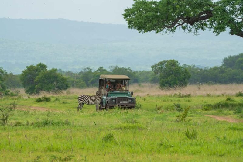 Zanzibar to Mikumi Ultimate Day Trip Safari Adventure - Who Should Consider This Tour?