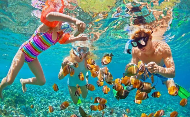 Zanzibar: Tour to Prison Island and Nakupenda sandbank with lunch - A Detailed Look at the Tour Experience