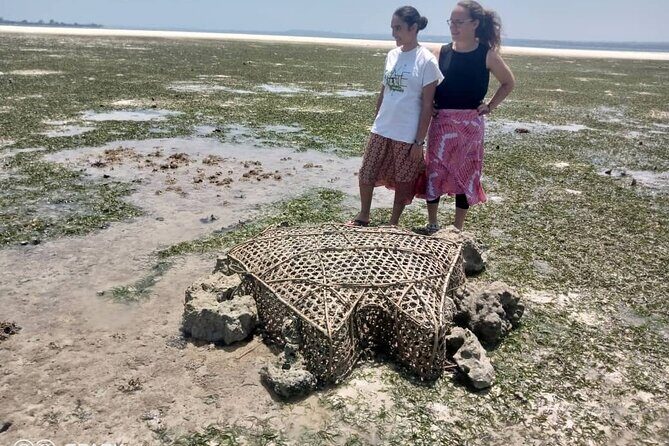 Zanzibar Tumbatu Island Cultural Experience - Who Will Love This Tour?
