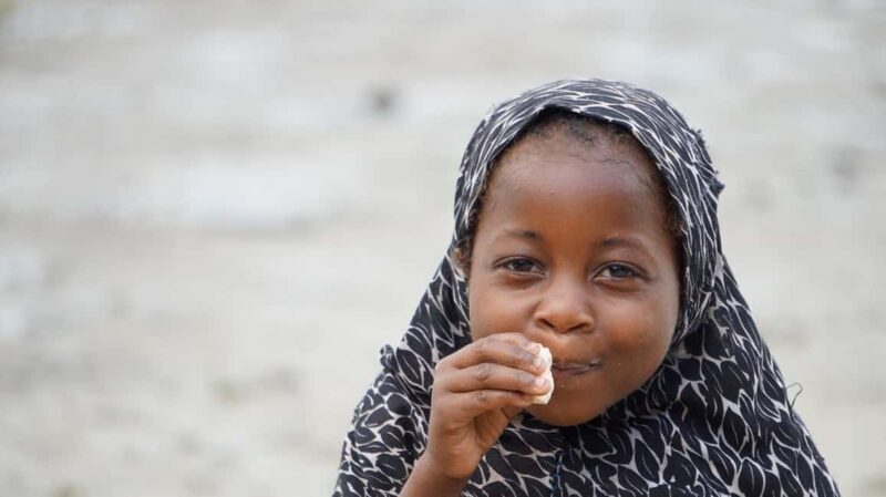 Zanzibar : Tumbatu Island Private Snorkeling adventure tour - The Reef and Marine Life: What You Might See