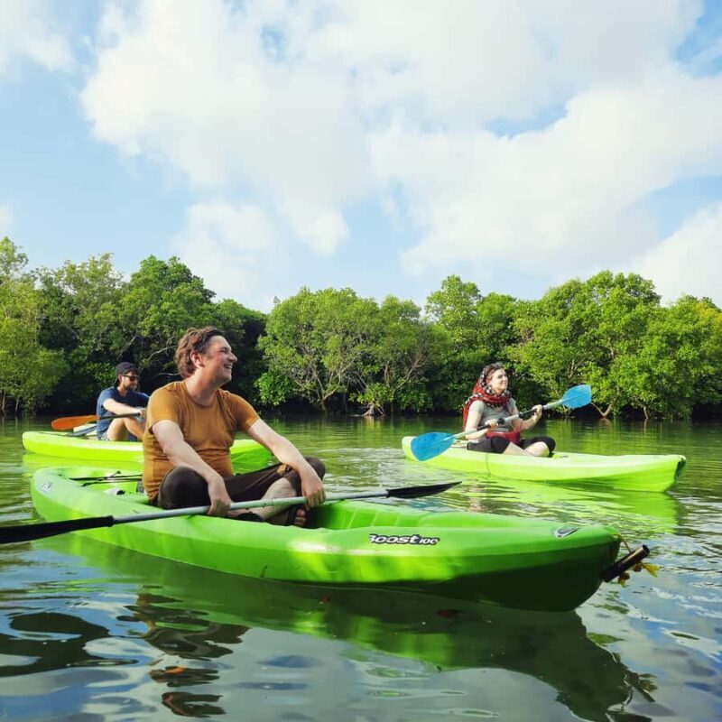Zanzibar: Unique Guided Mangrove Tour by SUP or Kayak - What to Expect on the Mangrove Tour