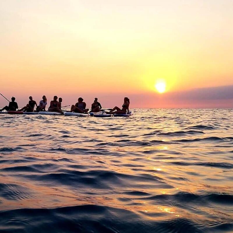 Zanzibar: Unique Guided Mangrove Tour by SUP or Kayak - The Sum Up: Why This Tour Is a Great Choice