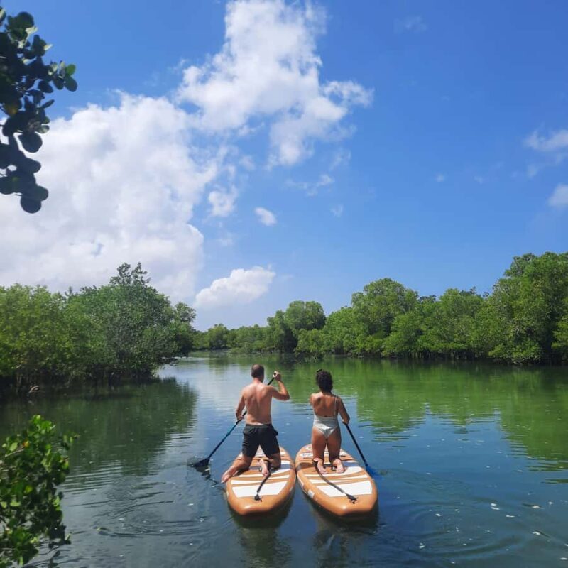 Zanzibar: Unique Guided Mangrove Tour by SUP or Kayak - FAQ