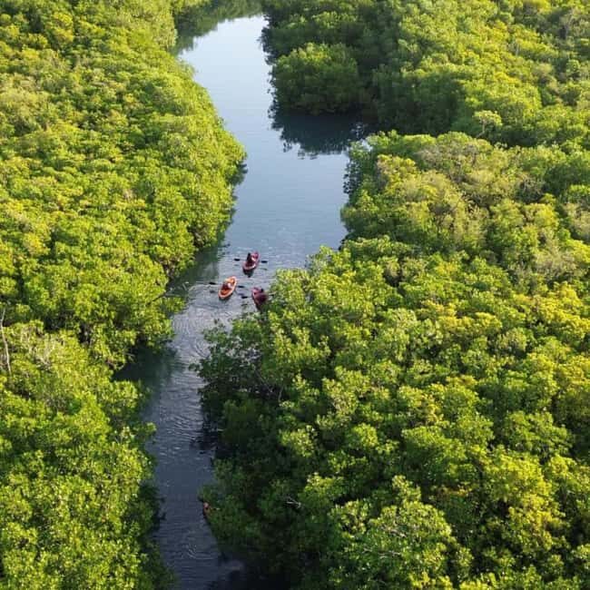 Zanzibar: Uzi Island Mangrove forest Kayaking & Village Tour - Key Points