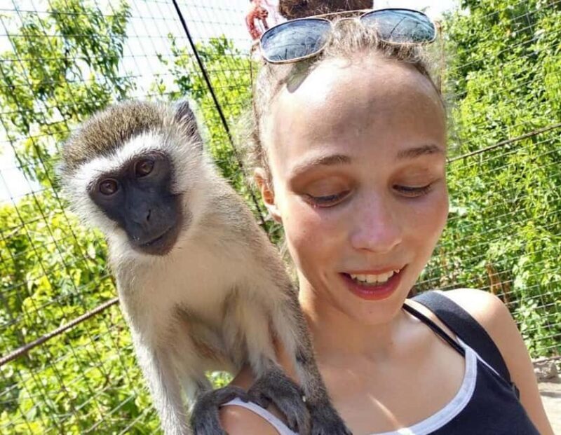 Zanzibar: Wildlife Zoo Kilosa and Baraka Natural Aquarium - What to Expect from the Tour