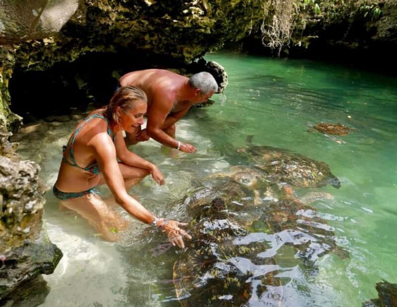 Zanzibar: Wildlife Zoo Kilosa and Baraka Natural Aquarium - What Visitors Say