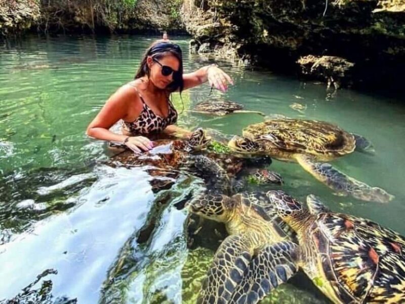 Zanzibar: Wildlife Zoo Kilosa and Baraka Natural Aquarium - Additional Info