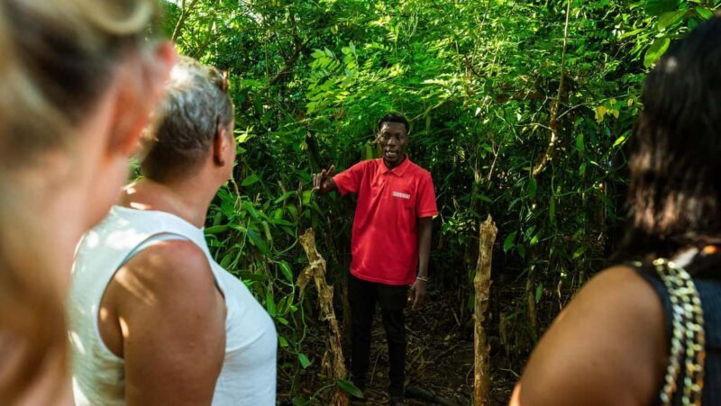 Zanzibar:Day Spice,secret flavor,Jozani forest,Prison island - An Overview of the Zanzibar Day Trip