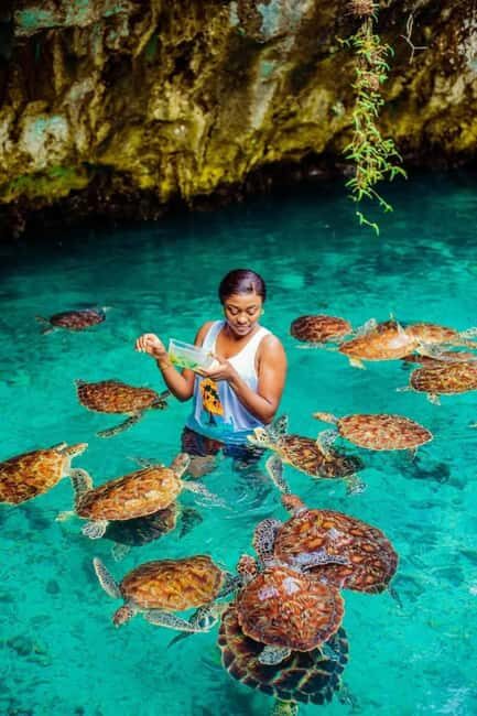 ZANZIBAR:Jozani forest, Sea turtle sanctuary and Paje beach - Who Will Love This Tour?