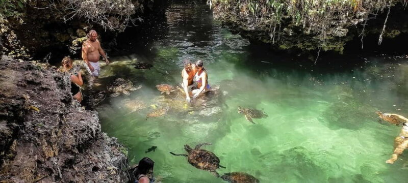 ZANZIBAR:Jozani forest, Sea turtle sanctuary and Paje beach - What You Wont Get
