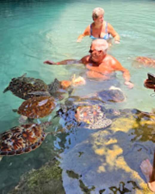 ZANZIBAR:Jozani forest,baraka aquarium and Kendwa beach - Baraka Aquarium: Swimming with Turtles in a Natural Setting