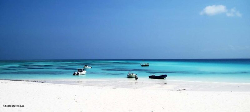 Zanzibar:Mnemba Island Full Day, Live Aquarium Turtle House - Introduction to the Mnemba Island Experience