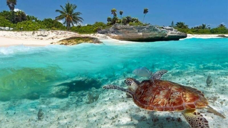 Zanzibar:Mnemba Island Full Day, Live Aquarium Turtle House - Final Thoughts
