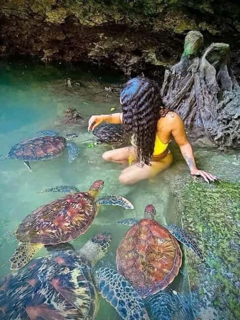 ZANZIBAR'Mnemba island, Stone town and Sea turtles Sanctuary - Zanzibar’s Mnemba Island, Stone Town, and Sea Turtles Sanctuary: A Full-Day Adventure