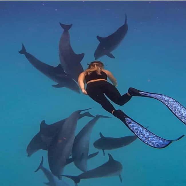 Zanzibar:Mnemba Snorkeling, red colorbus monkey & Stone Town - Dive into the Details: Transportation and Logistics
