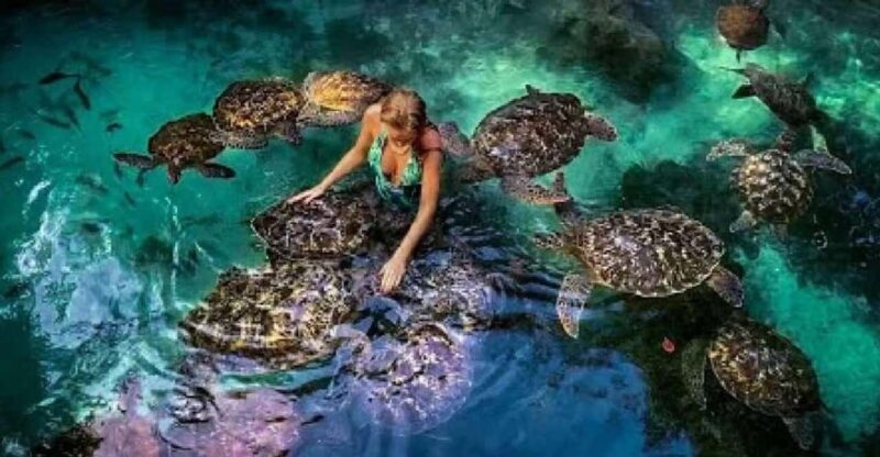 ZANZIBAR:Prison island,Stone town and Sea turtles Sanctuary - Final Thoughts