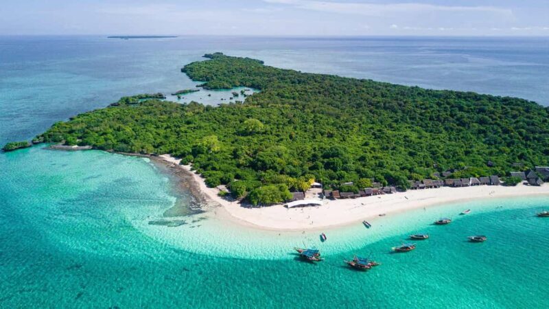 ZANZIBAR:Safari blue pivate boat and Sea turtle sanctuary - An Authentic Day on the Water: What to Expect from the Safari Blue Tour
