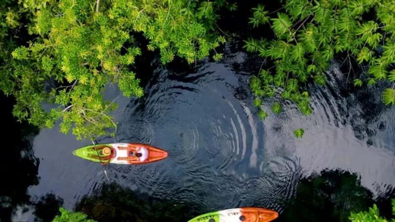 ZANZIBAR:Spice Farm and Kayak Tour in Mangrove Forest - Exploring Zanzibar’s Spice Farm