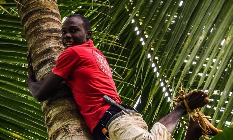 ZANZIBAR:Stone town,spice farm and Kendwa beach tour - Key Points