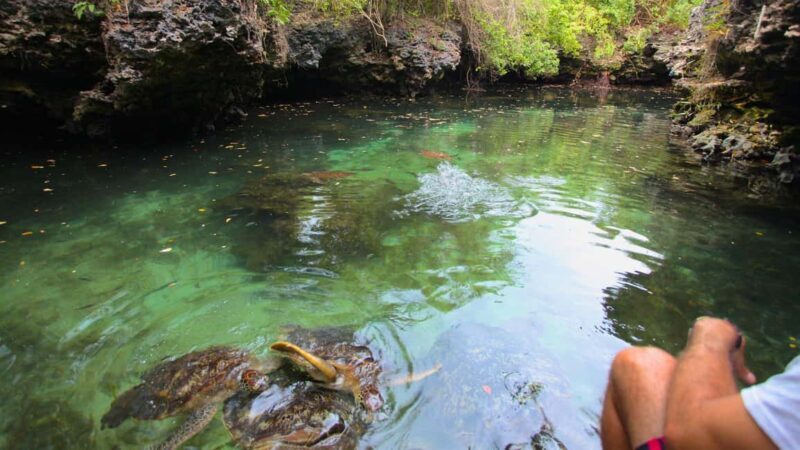 ZANZIBAR:Stonetown,Baraka aquarium and spice farm with lunch - Key Points