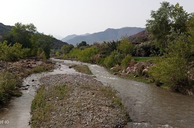 Zat Valley and Atlas Mountains Private Day Trip from Marrakech - What Travelers Say: Authenticity and Knowledge