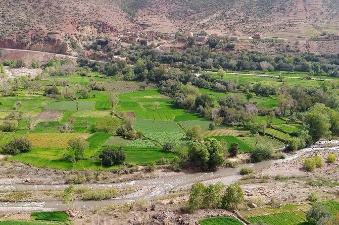 Zat Valley and Atlas Mountains Private Day Trip from Marrakech - Summing Up: Who Is This Tour Best For?