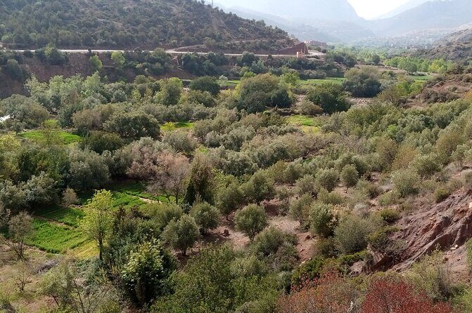 Zat Valley and Atlas Mountains Private Day Trip from Marrakech - FAQs
