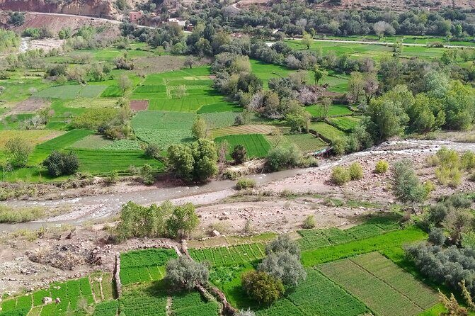 Zat Valley and Atlas Mountains Private Day Trip from Marrakech - Final Thoughts