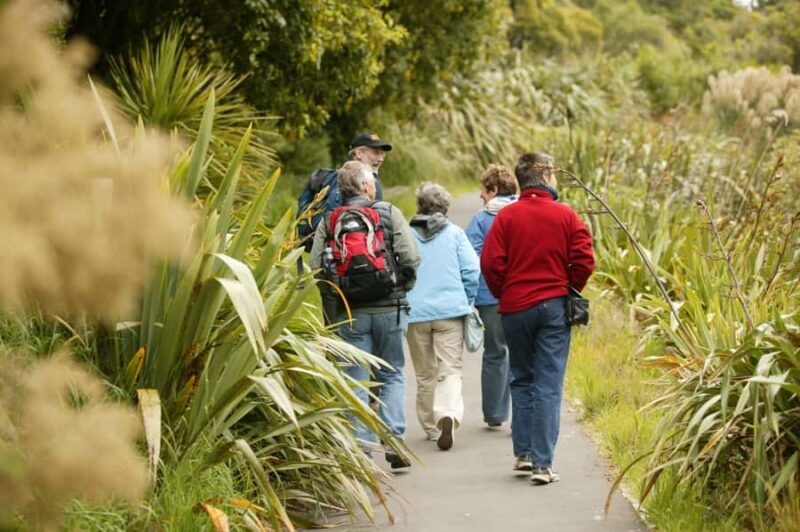 Zealandia by Day Tour - What Makes Zealandia Stand Out?