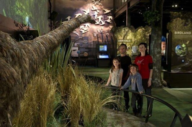 Zealandia Small Group Eco Wildlife Night Tour - Key Points
