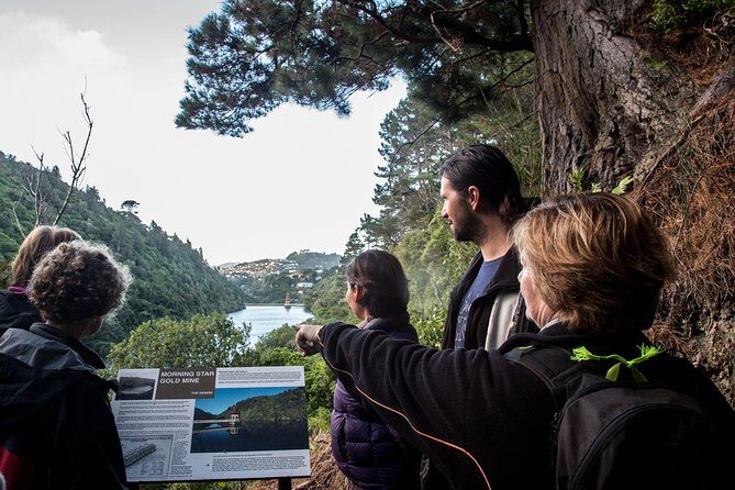 Zealandia - Twilight Guided Eco Wildlife Tour - In-Depth Look at the Zealandia Twilight Tour