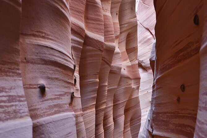 Zebra Slot Canyon Hiking Tour in Escalante - An In-Depth Look at the Zebra Slot Canyon Tour