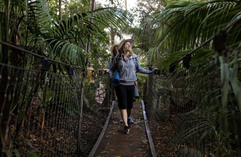 Zen In The Zoo - Exploring the Calm: What Is Zen In The Zoo?