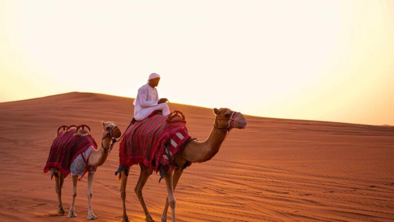 Zerzura Dune Buggy Experience & Dinner at Zerzura - Sunset and the Dunes: A View to Remember