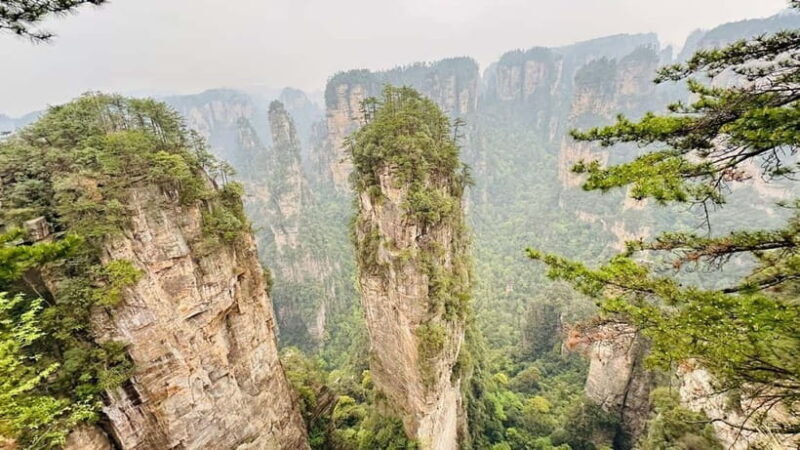 Zhangjiajie: National Forest Park 1-Day VIP Private Tour - Key Points