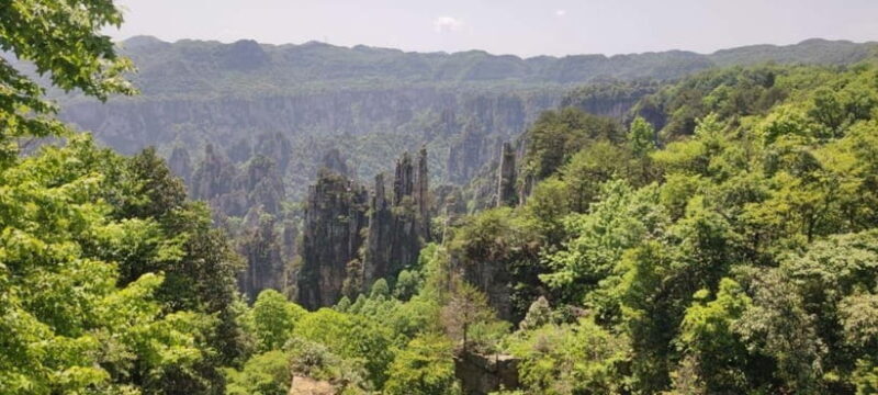 Zhangjiajie: National Forest Park 1-Day VIP Private Tour - The Value of Guidance and VIP Access
