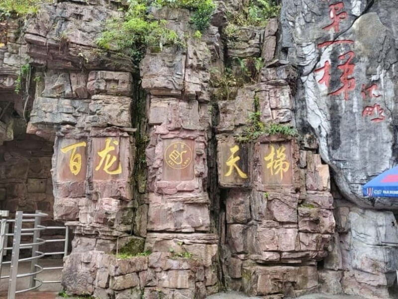 Zhangjiajie: National Forest Park 1-Day VIP Private Tour - What to Expect on the Day