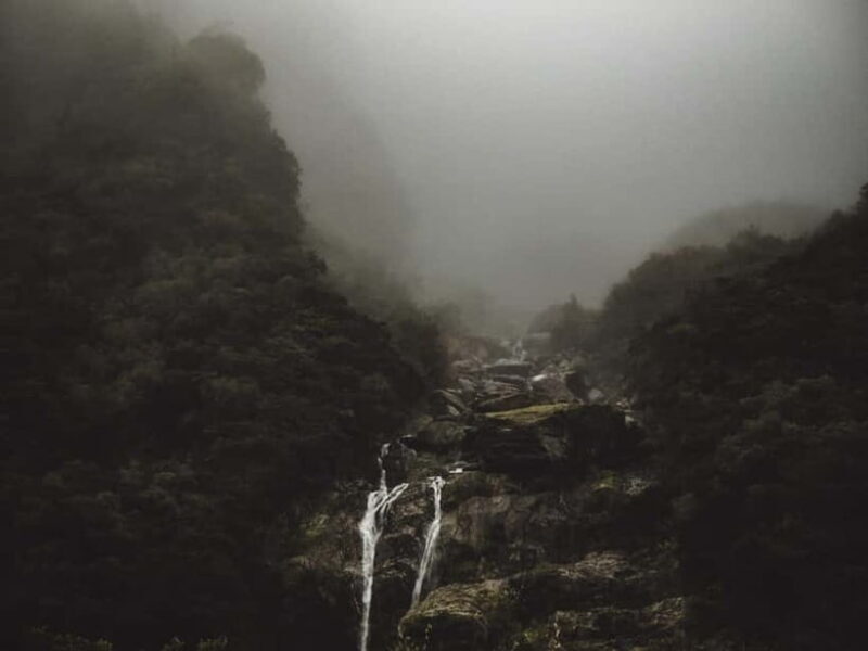 Zhangjiajie: National Forest Park 1-Day VIP Private Tour - Why This Tour Is Worth Considering