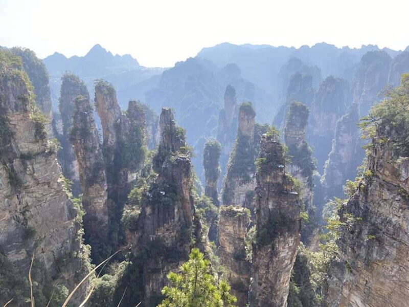 Zhangjiajie National Forest Park: Private Tour and Transport - Who Will Enjoy This Tour?