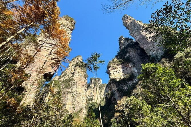 Zhangjiajie National Forest Park Tickets Booking - A Closer Look at the Booking System and What It Means for You