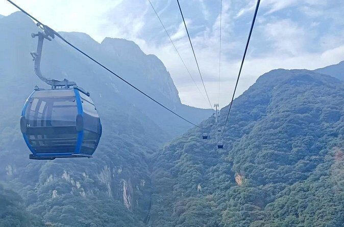 Zhengzhou Private Day Tour to Shaolin Temple and Longmen Grottoes - Authentic Experiences and Genuine Value