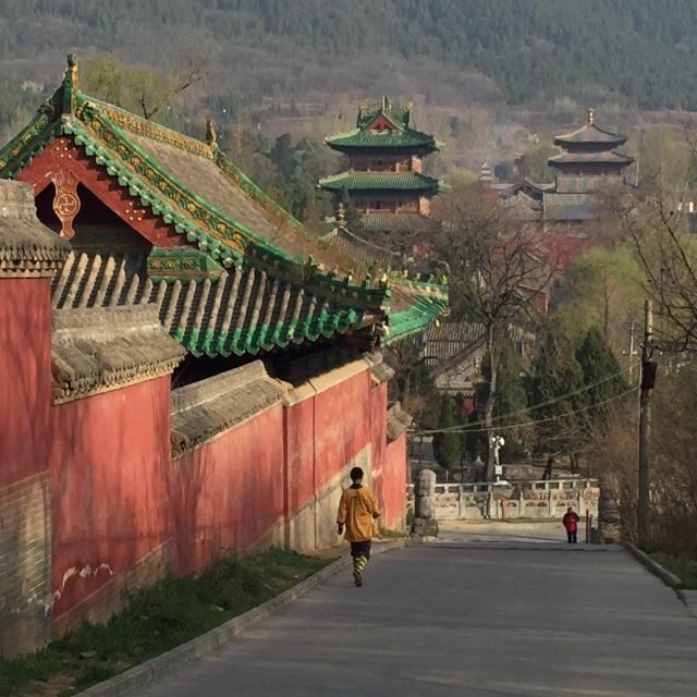 Zhengzhou: Private Tour to Shaolin Temple & Longmen Grottoes - Analyzing the Value