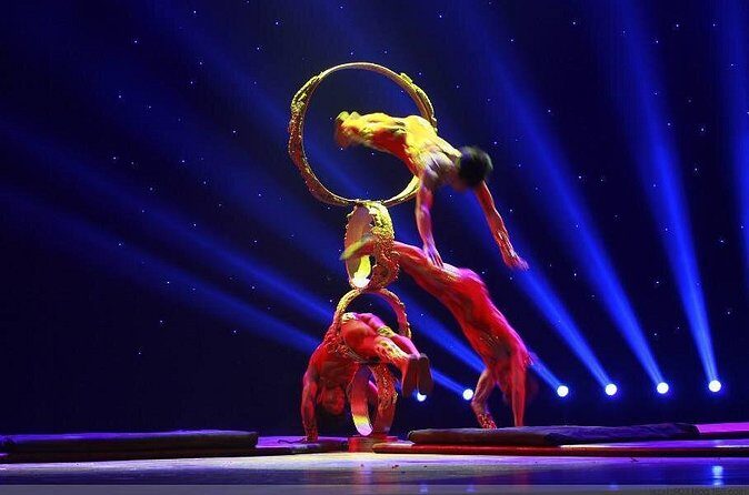 Zhujiajiao Private Day Tour and Shanghai Acrobatic Show - The Sum Up: Who Should Consider This Tour?