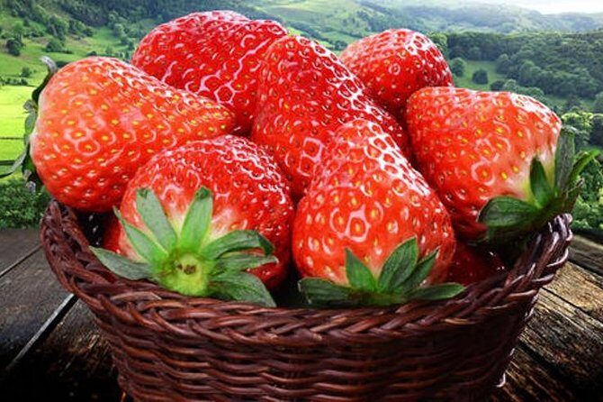 Zhujiajiao Water Town Private Tour with Local Farm Visit and Fruit Picking - FAQ